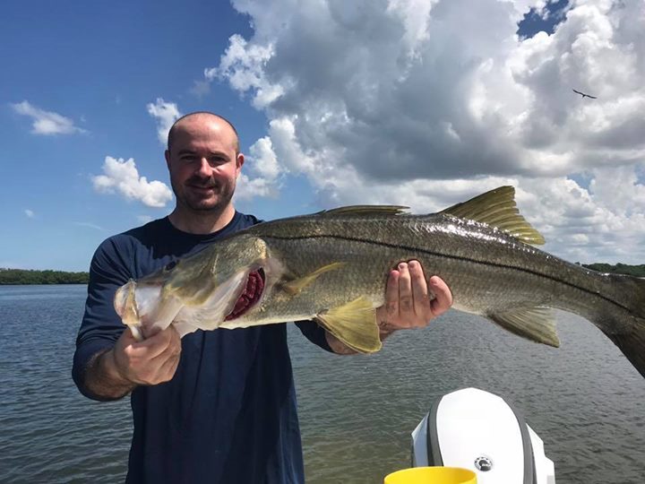 What is a Snook? - Clearwater Inshore Fishing