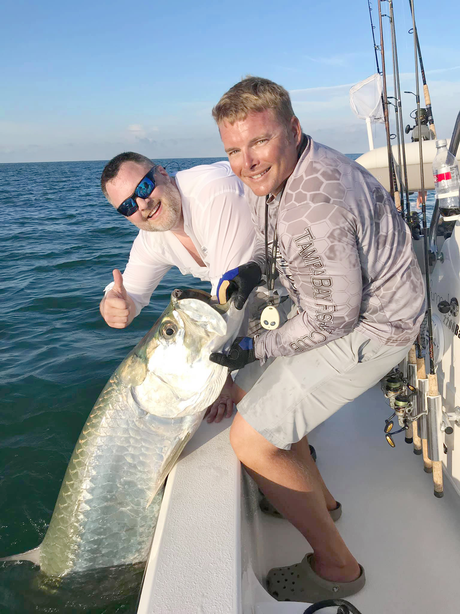 Everything You Wanted to Know About Tarpon - Clearwater Inshore